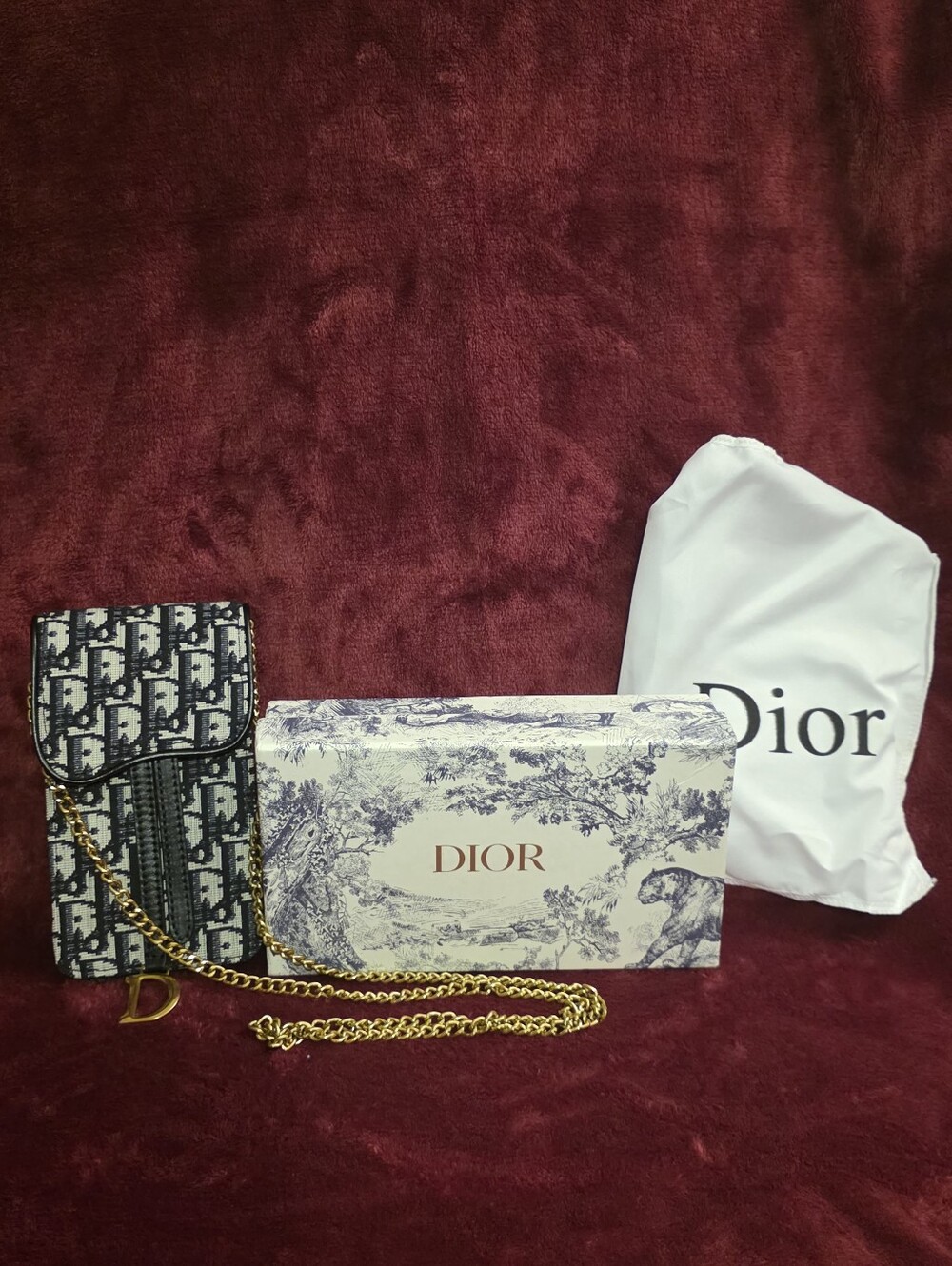 Dior Black & White Oblique Canvas Chain Crossbody Pouch with Gold Hardware